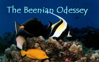 The Beenian Odessey